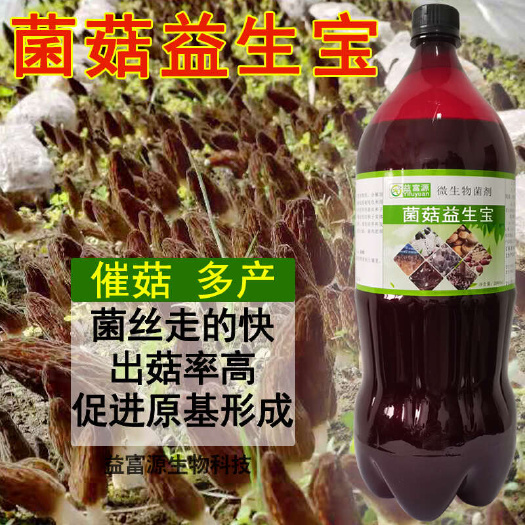 菌菇营养液 羊肚菌营养液 桑黄 益富源菌菇益生宝竹荪，香菇