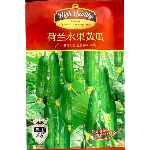 荷兰水果黄瓜种子 全雌 无刺短棒 节节有瓜 清香脆甜