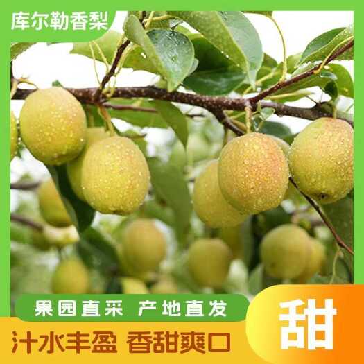 长沙县新鲜香梨 湖南长沙直发 果肉多汁 健康甜品