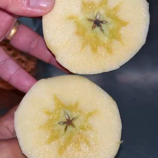 云南昭通野生苹果，果肉细腻，脆甜多汁，具有独特的冰糖心很甜爽
