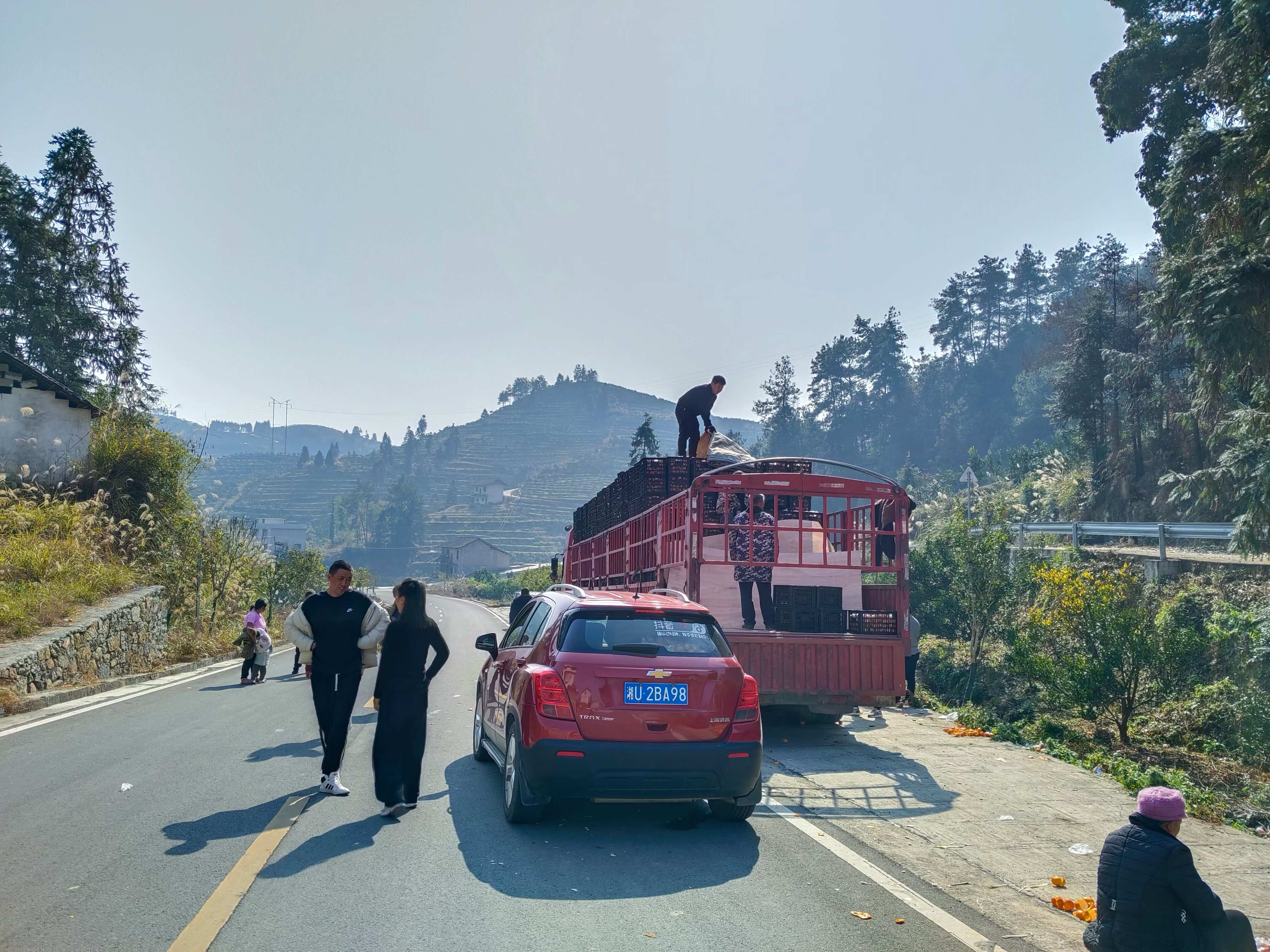 椪柑  碰柑，湘西富硒优质碰柑