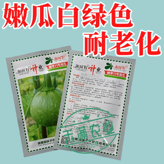 武汉早熟嫩小南瓜种子 一串铃南瓜种籽丰产菜用青瓜春季播种基地优品