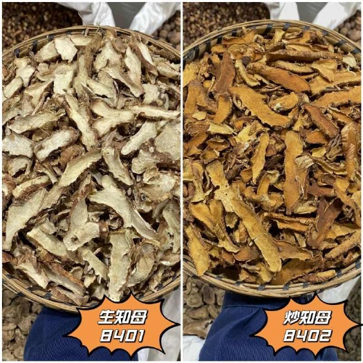 昆明知母 毛知母切片优质正品
