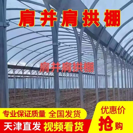 肩并肩拱棚 温室大棚 对标莘县 打造全国标杆蔬菜种植基地