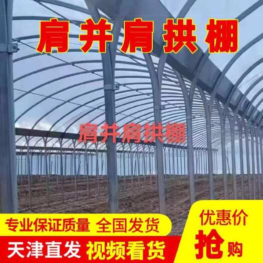 天津肩并肩拱棚 温室大棚 对标莘县 打造全国标杆蔬菜种植基地