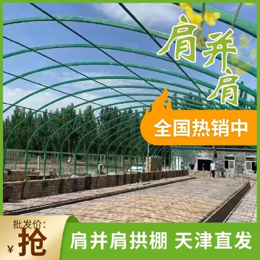 肩并肩拱棚 对标山东莘县蔬菜种植产地 温室大棚