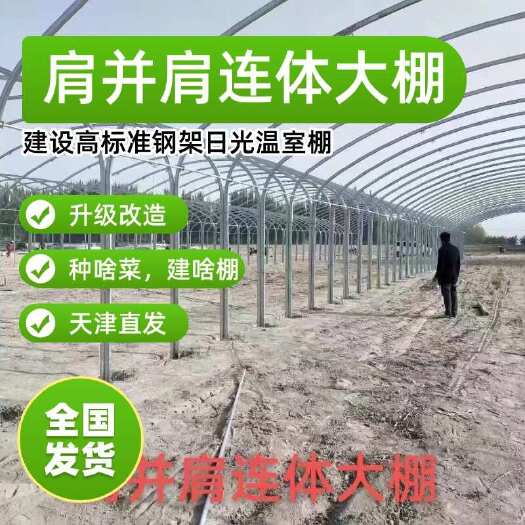 天津肩并肩连体大棚 对标莘县 蔬菜大棚  全国发货 量大价优