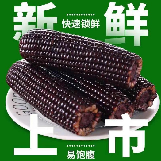 香糯黑玉米200克*10根绿色食品非转基因香甜软糯棒大饱满