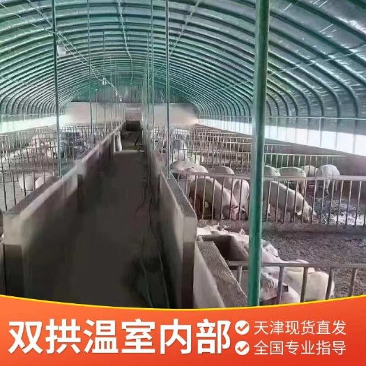 天津双拱温室内部 视频看货 厂家货源 天津直发