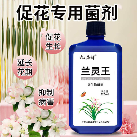 广州九品祥兰花用肥兰科活化剂蝴蝶兰墨促开花通用营养液兰灵王肥料催