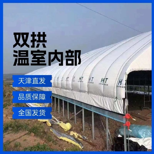 天津双拱温室内部 天津直发 品质保障 全国发货