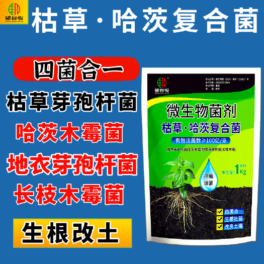 潍坊枯草哈茨复合菌一体菌肥 枯草芽孢杆菌生根壮苗促肥防病害