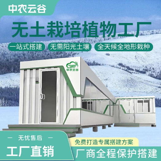一年四季全地形种植 现代无土栽培技术 无土种植 智慧植物工厂