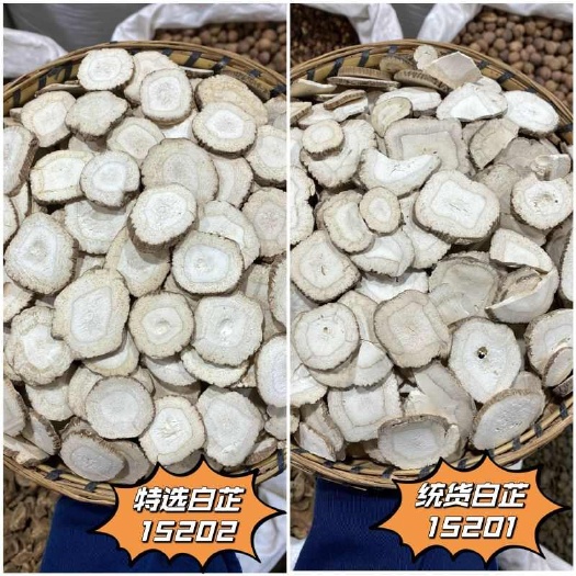 昆明白芷 白芷片 精选优质无硫白芷大片