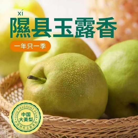 山西隰县玉露香梨9颗装中国梨王国家地理标志产品
