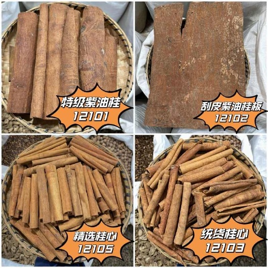 昆明肉桂 油桂 精选优质满油紫油桂桂通