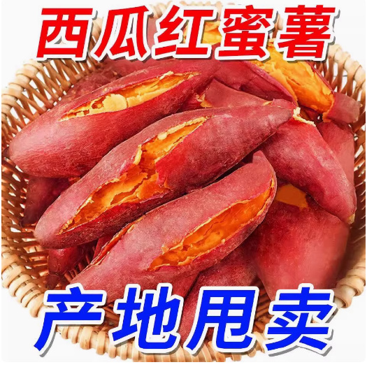 遂溪县新鲜蜜薯西瓜红蜜薯沙地蜜薯红心软糯香甜产地现挖现发