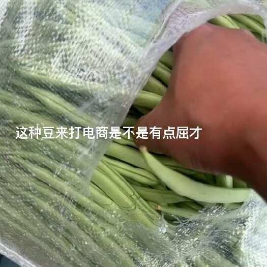 保山原产地收货，需要的老板联系，