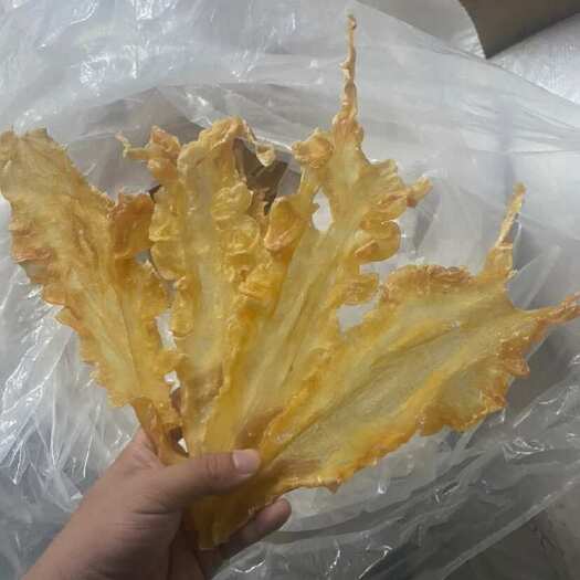 广州大量鳕鱼胶 个头数规格 价格便宜