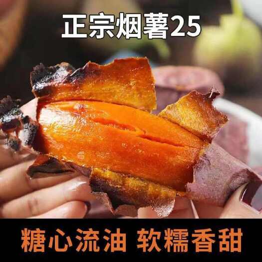 雄县烟薯25基地直发全国发货