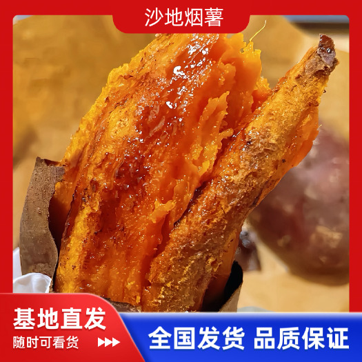 雄县沙地烟薯25糖心沙地蜜薯，现挖现发，支持各种规格，可一件代发