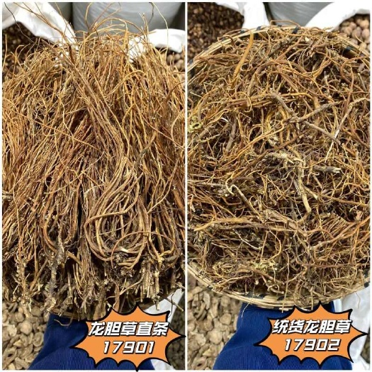 龙胆草 精选龙胆草 产地直发 量大从优 一手货源量大从优