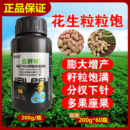 寿光市花生分杈下针剂窝窝多花生高产必用开花多下针多粒粒饱抗病增产