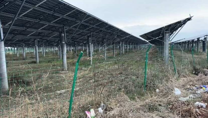 光伏板下 农耕土地 农作物种植 资源再利用
