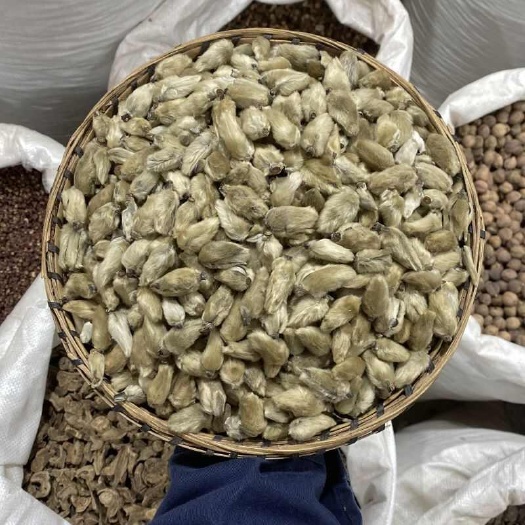 昆明辛夷花 云南散装精选农家自采天然生晒