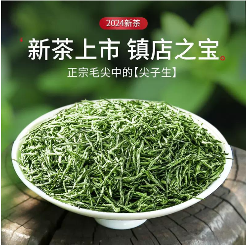 特级毛尖茶2024新茶明前芽头春茶叶雪芽绿茶送长辈礼盒罐装