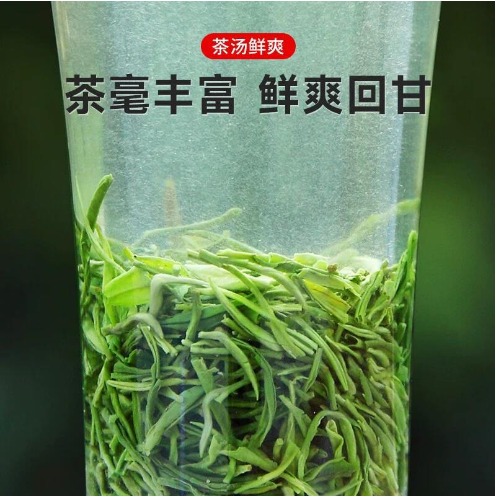 特级毛尖茶2024新茶明前芽头春茶叶雪芽绿茶送长辈礼盒罐装