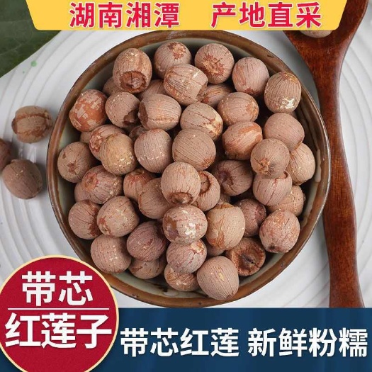 湘潭县红莲子  红莲，泰国红莲，冬瓜红莲，湘莲小粒