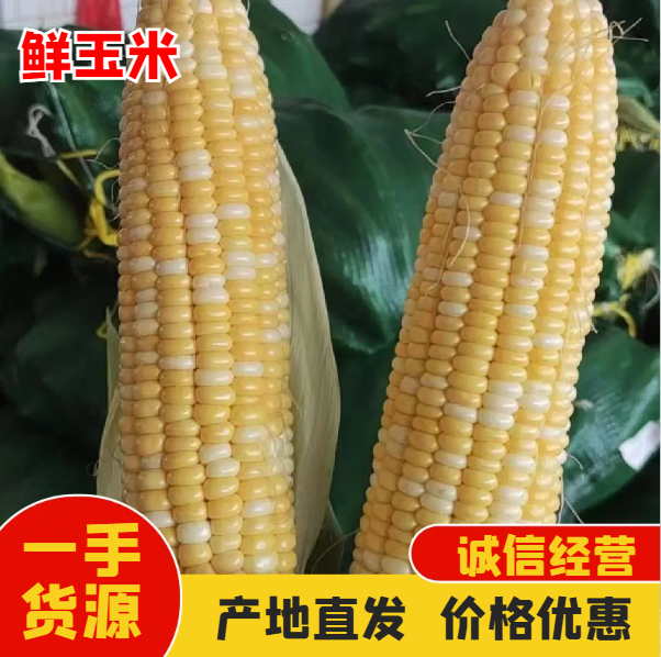 广东徐闻县 新鲜带壳 水果金银花玉米