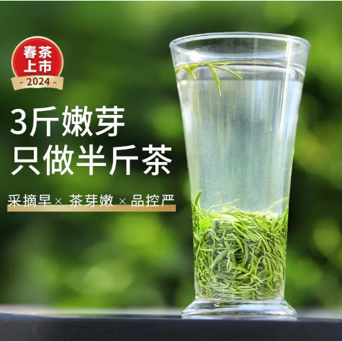 特级毛尖茶2024新茶明前芽头春茶叶雪芽绿茶送长辈礼盒罐装