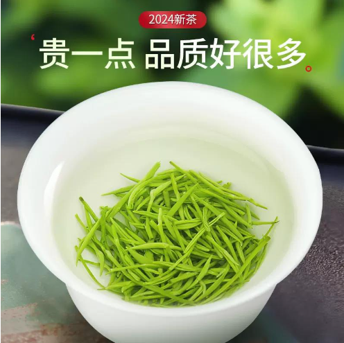 特级毛尖茶2024新茶明前芽头春茶叶雪芽绿茶送长辈礼盒罐装