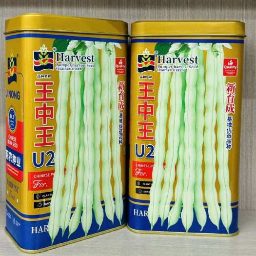 建瓯市王中王架豆种子 芸豆种子 豆角嫩白绿色 条直不打弯