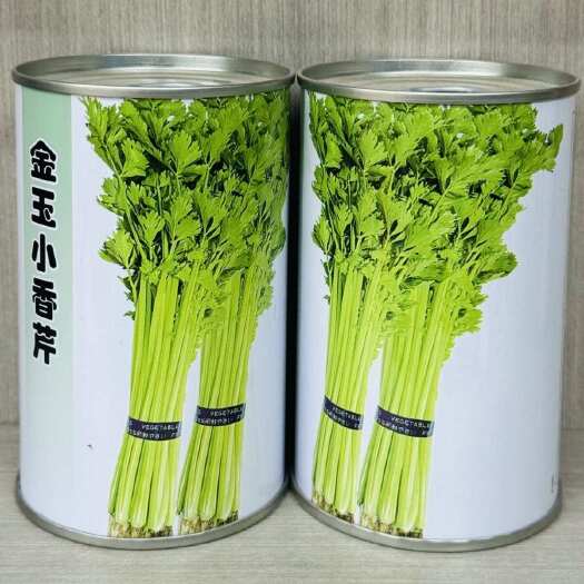 建瓯市金玉小香芹种子 四季小香芹种子 耐热耐寒 耐老抗病