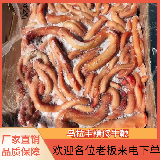 阳信县乌拉圭精修牛鞭，无鞭根。一手价格手续齐全
