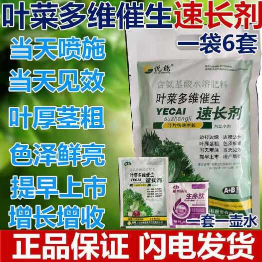潍坊生菜叶菜多维速长剂早喷早绿快打快长茎杆粗壮快速增长色泽鲜嫩