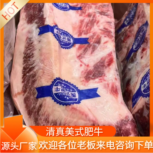 阳信县清真美式肥牛 谷饲喂养 源自天然牧场