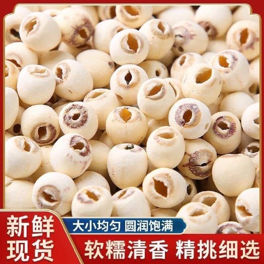 白莲子湘莲湖南莲子去心白莲干莲子，基地直发价格实惠