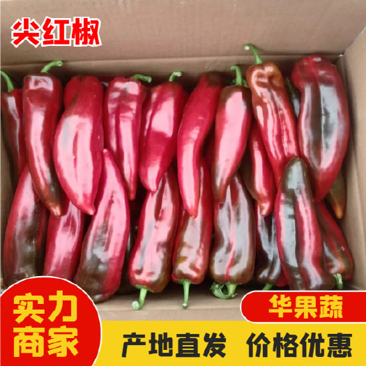 西昌尖红椒 当天采摘 诚信经营