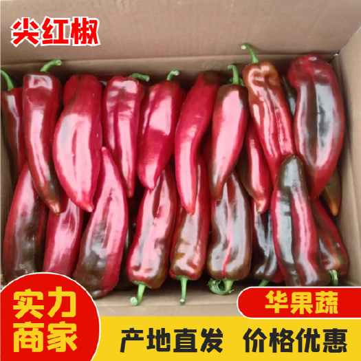 西昌市西昌尖红椒 当天采摘 诚信经营