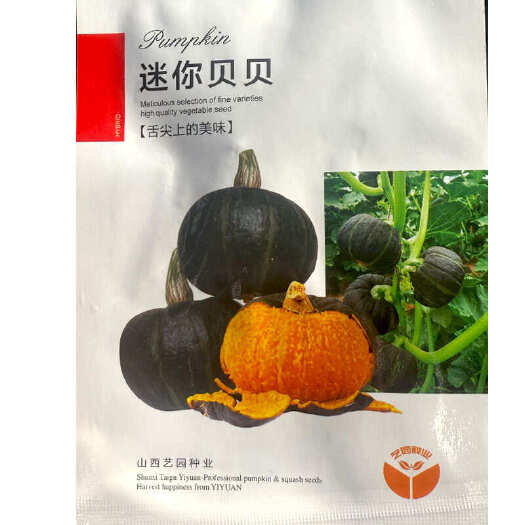 建瓯市迷你贝贝南瓜种子 礼品小南瓜种子 肉厚浓黄 粉甜