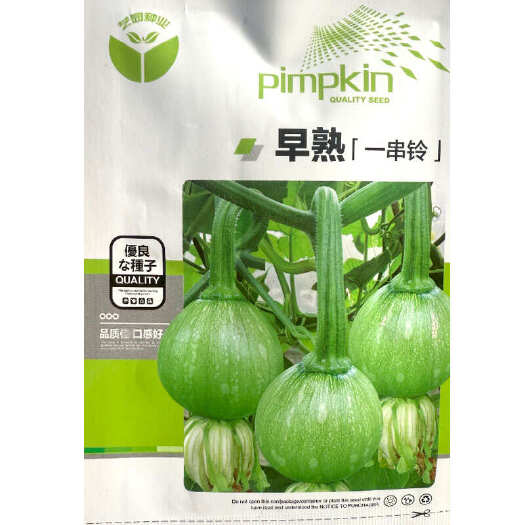 建瓯市早熟一串铃西葫芦种子 耐寒 嫩瓜高圆球形