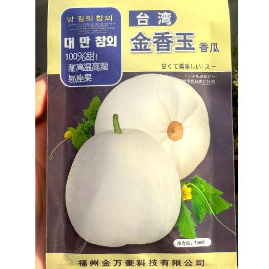 建瓯市金香玉香瓜种子 早熟甜瓜种子 香甜可口 耐高温高湿