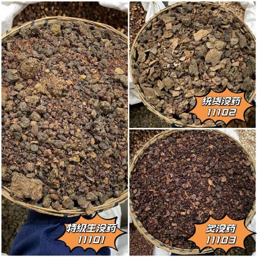 昆明没药 精选优质正品没药