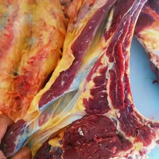 国产内蒙黄膘牛排，肉多，一手货源，量大价优，牛肉