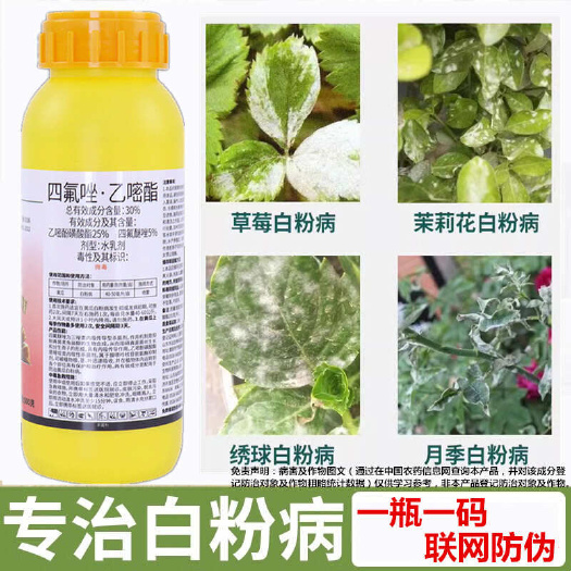 30%四氟醚唑乙嘧酚磺酸酯白粉病专用药草莓黄瓜番茄月季杀菌剂