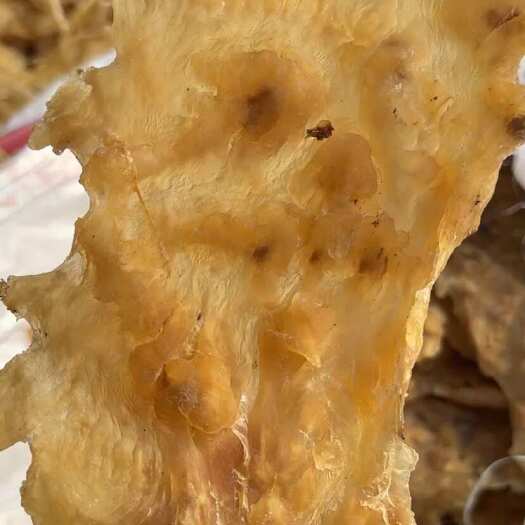 花胶鱼胶赤胶片 超厚 一斤3-4片 500克